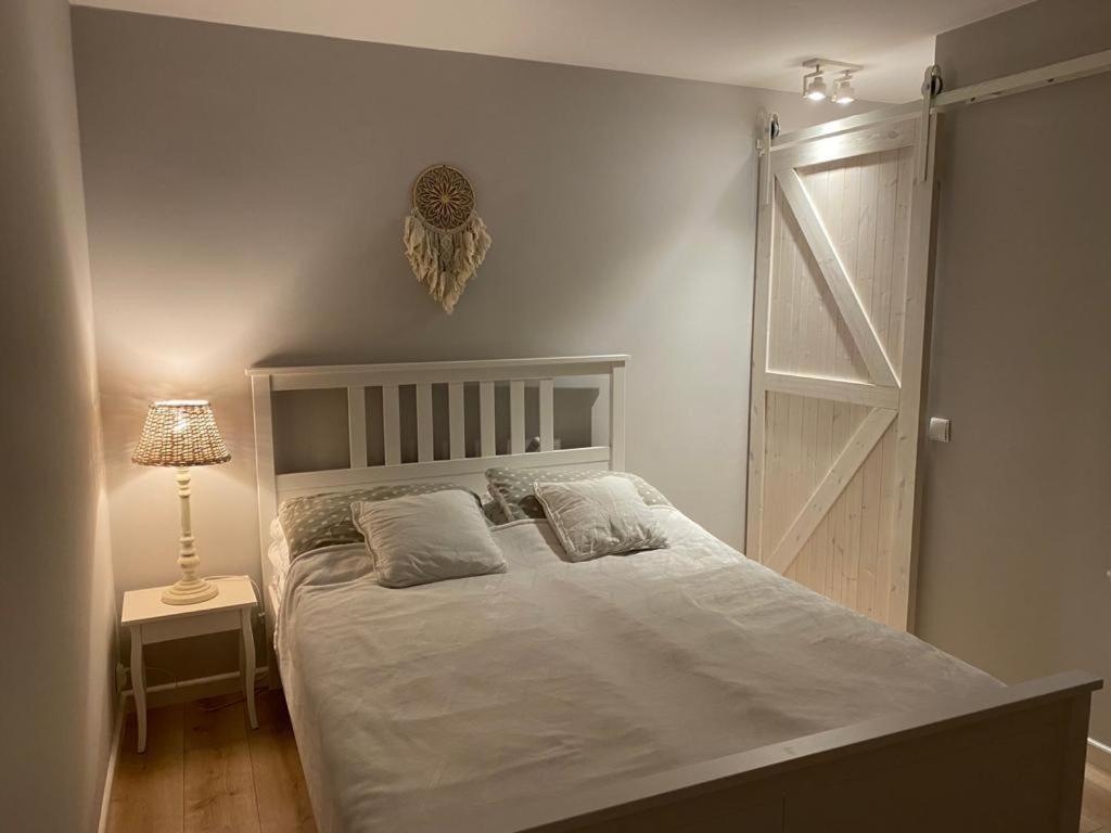 Zaciszne Domki Apartamenty ミエンジズドロイェ エクステリア 写真